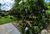 Terreno, 800 m² - Foto 3