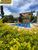 Casa, 9 quartos, 260 m² - Foto 2