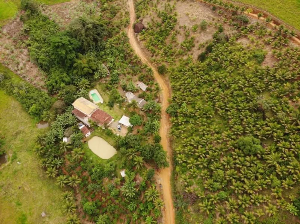 Terreno, 25000 m² - Foto 7