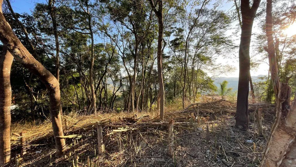 Terreno - Foto 1