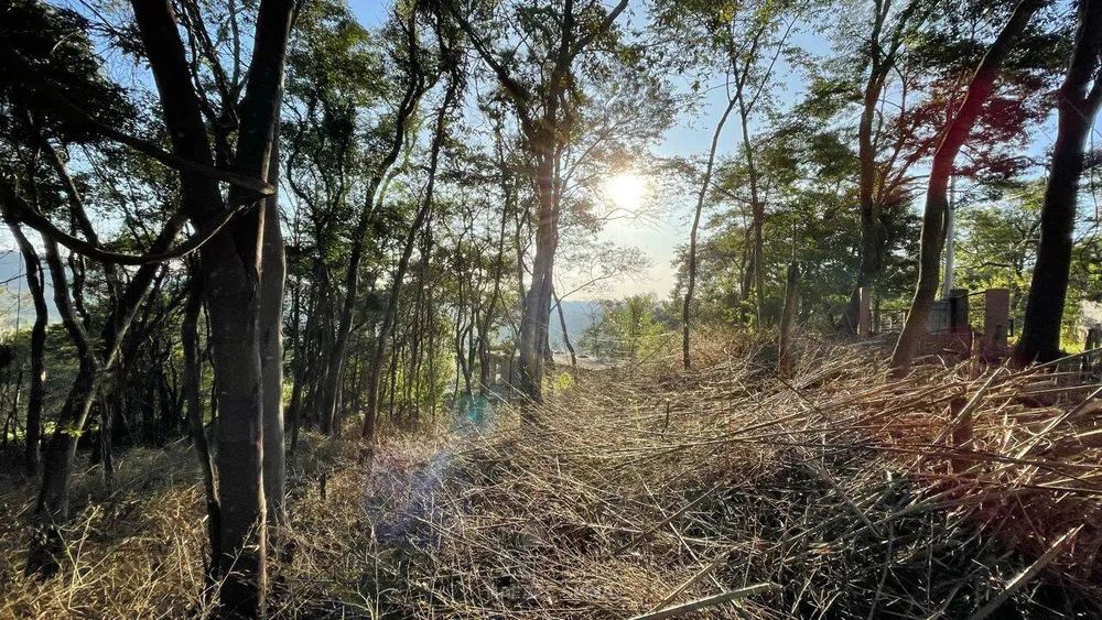 Terreno - Foto 7
