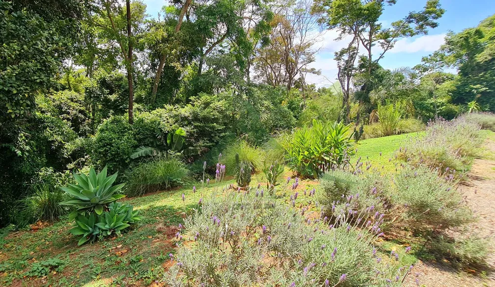 Chácara, 3 quartos, 4200 m² - Foto 11