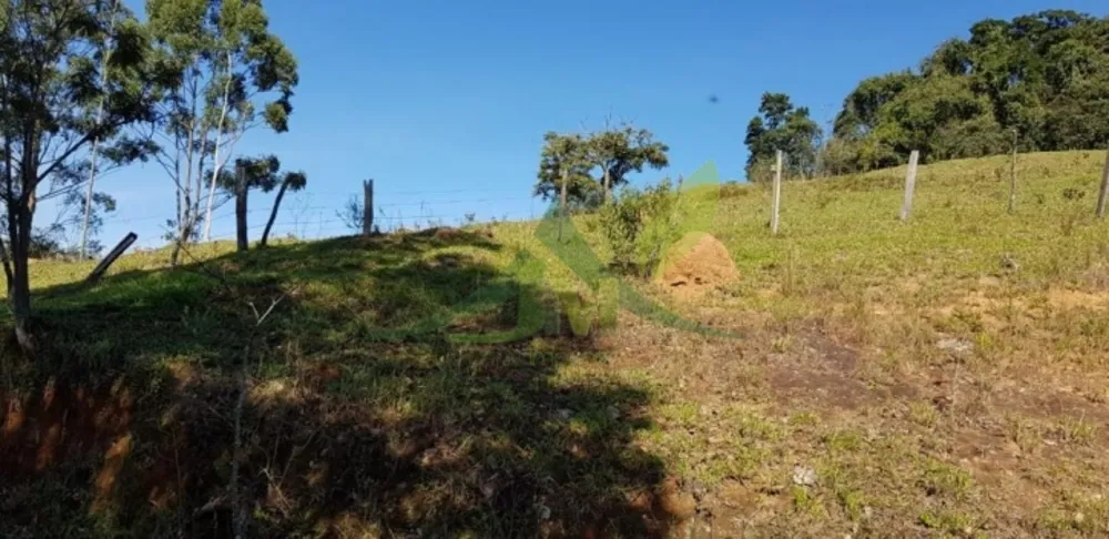 Sítio, 5 quartos, 19 hectares - Foto 10