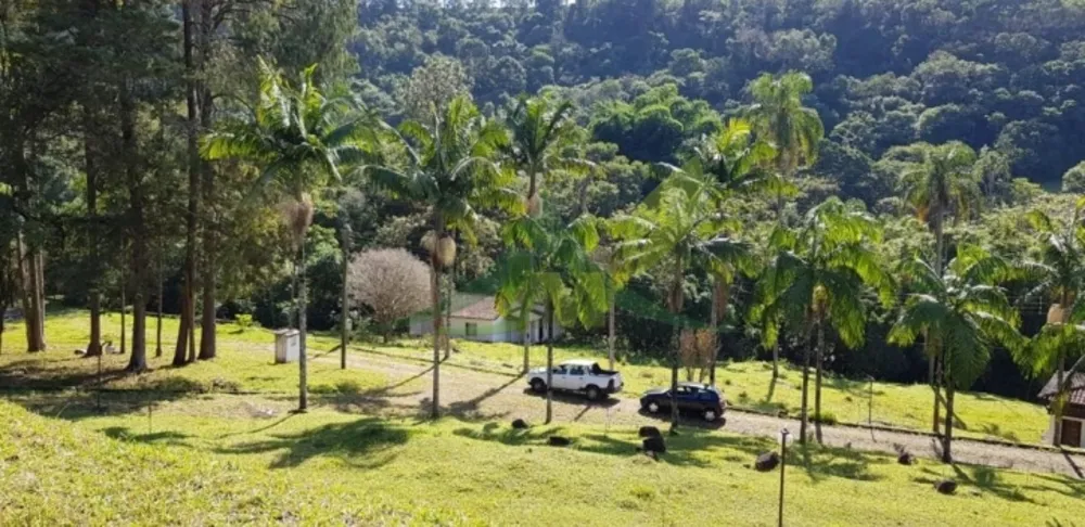 Sítio, 5 quartos, 19 hectares - Foto 8