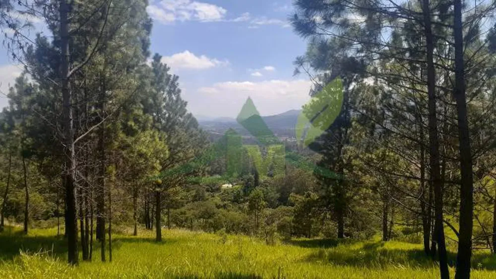 Terreno, 3000 m² - Foto 6