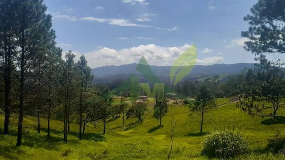 Terreno, 3000 m² - Foto 2