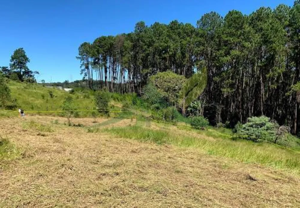 Terreno, 3000 m² - Foto 5
