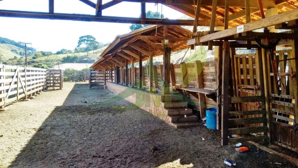 Fazenda, 242 hectares - Foto 9
