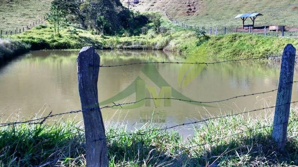 Fazenda, 242 hectares - Foto 4