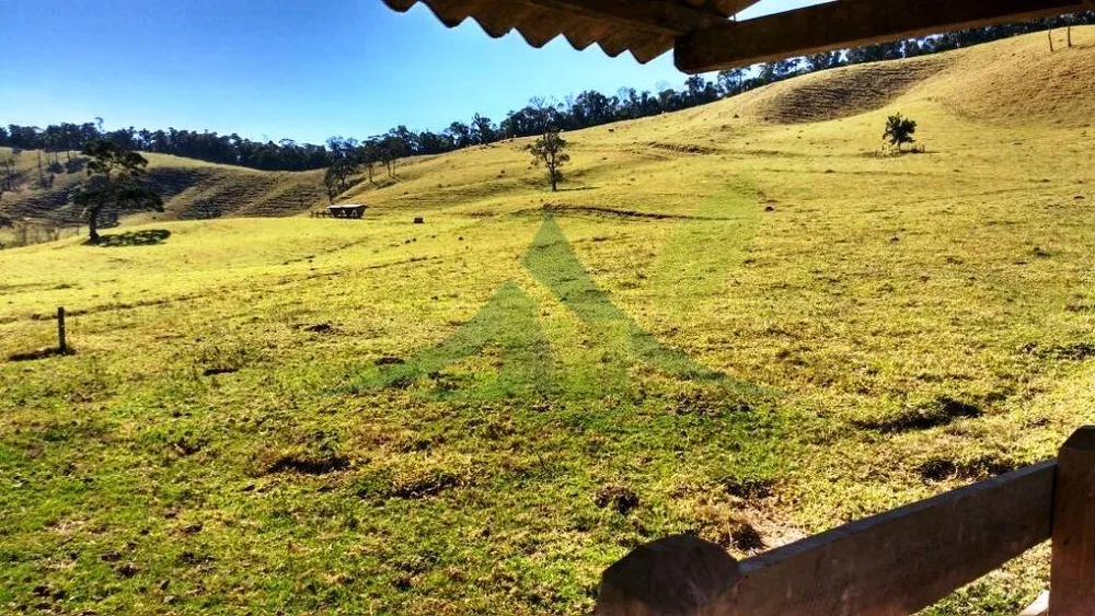Fazenda, 242 hectares - Foto 7