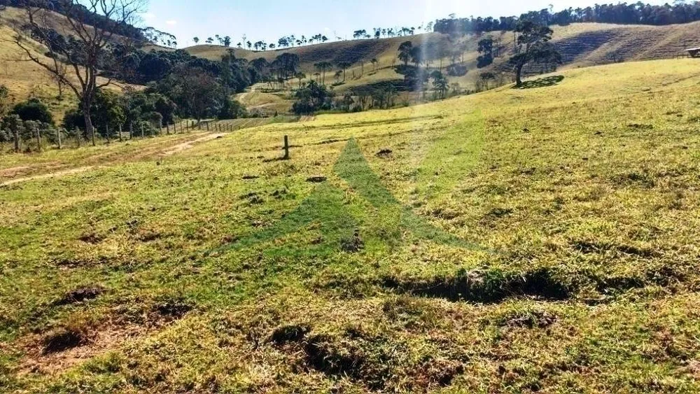 Fazenda, 242 hectares - Foto 8