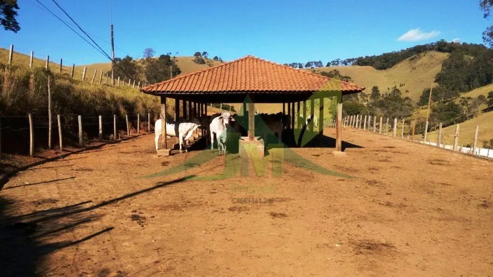 Fazenda, 242 hectares - Foto 11