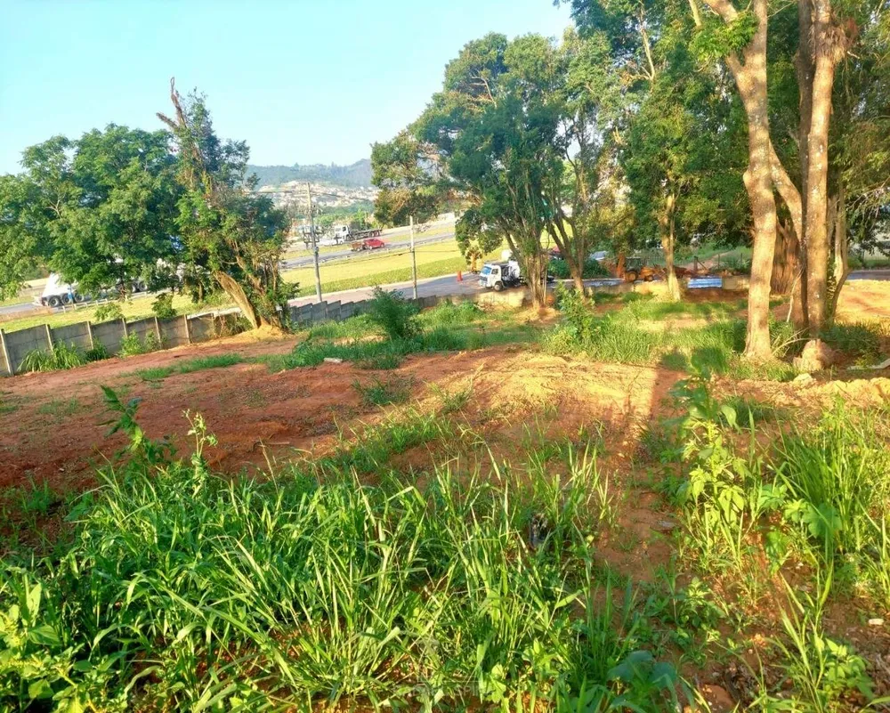 Terreno - Foto 3