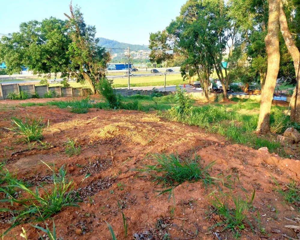 Terreno - Foto 7