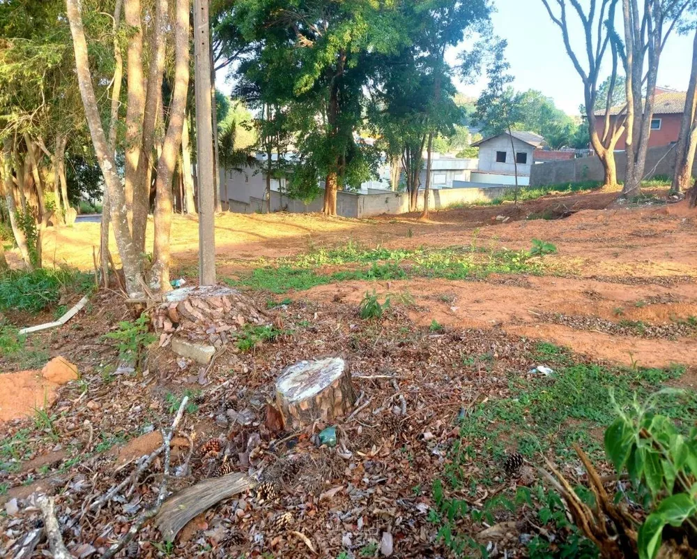 Terreno - Foto 2