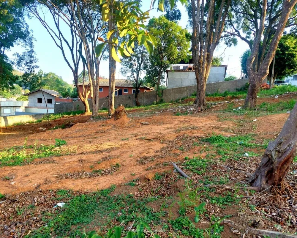 Terreno - Foto 6