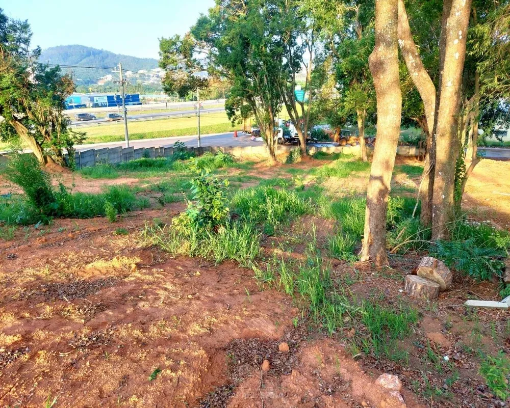 Terreno - Foto 1