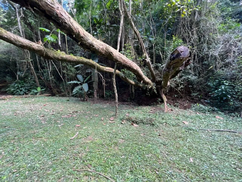 Terreno - Foto 1