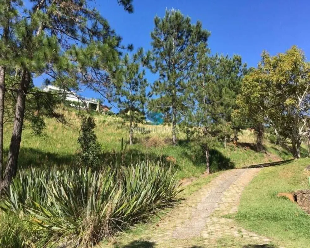 Terreno - Foto 1