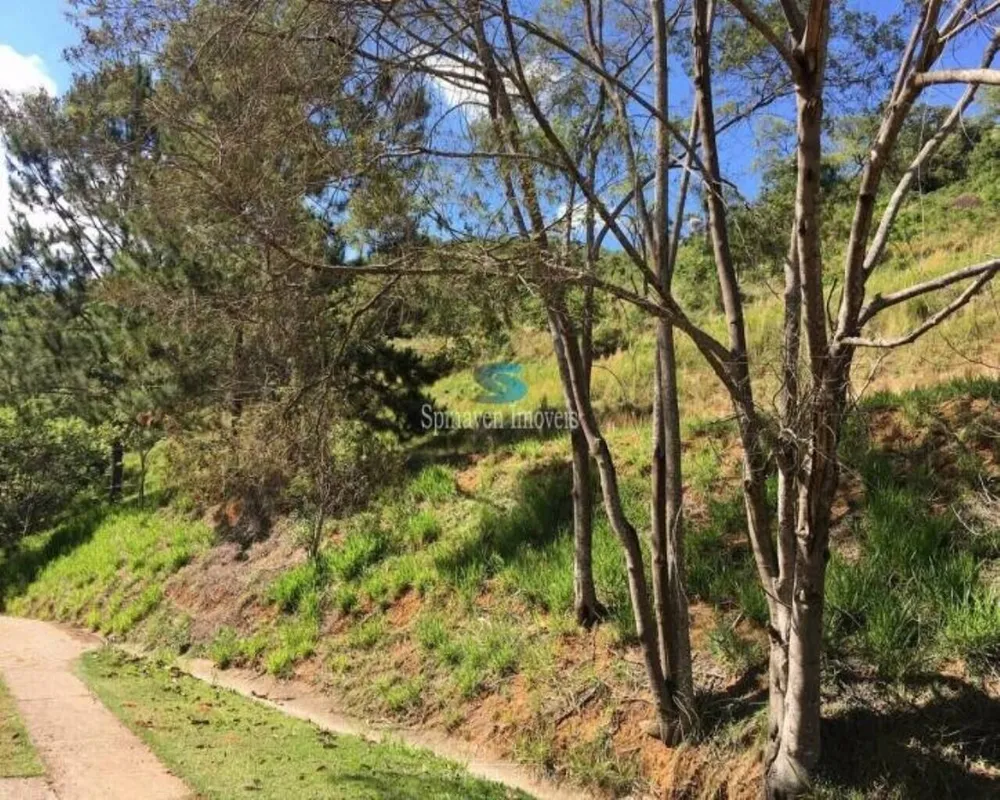 Terreno - Foto 4