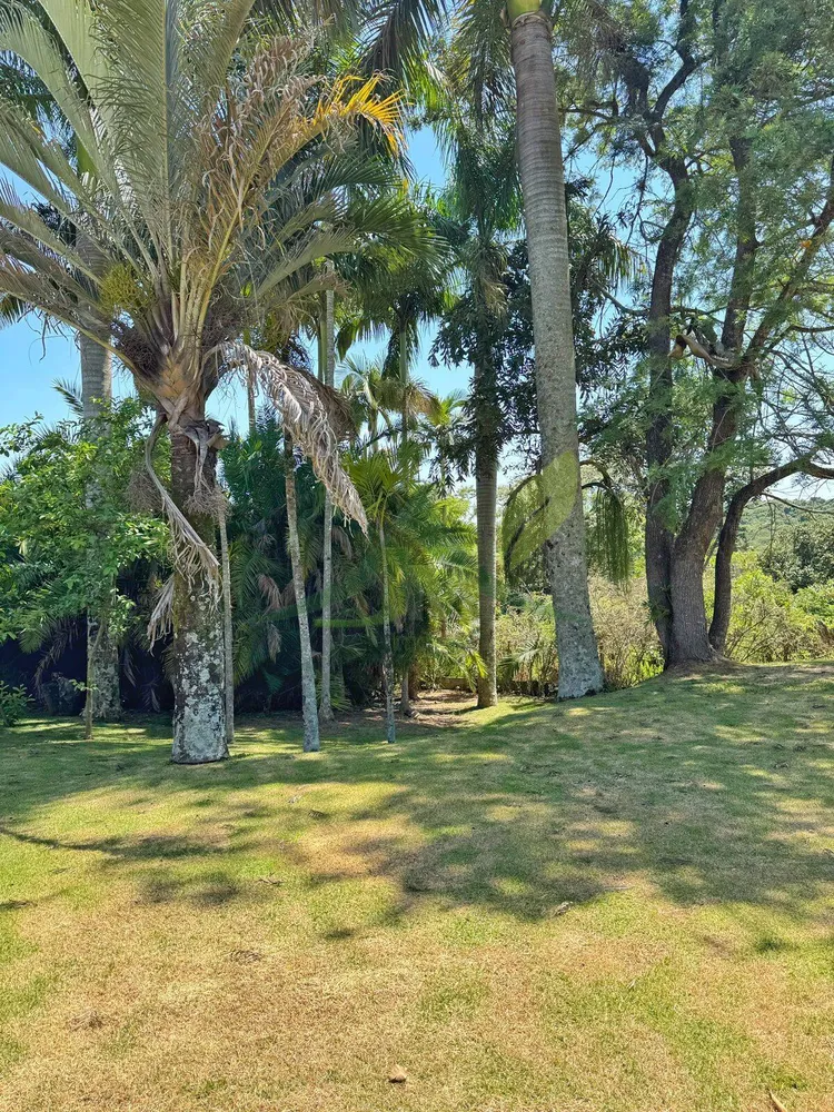 Chácara, 3 quartos, 5000 m² - Foto 3