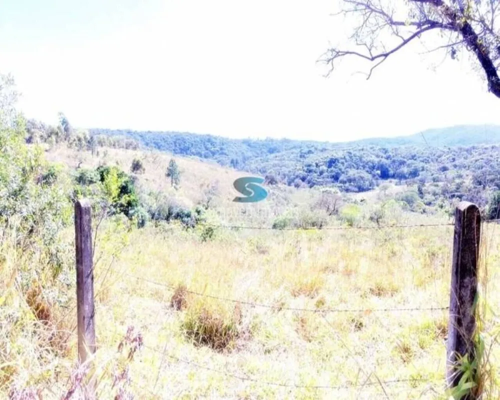 Terreno - Foto 7
