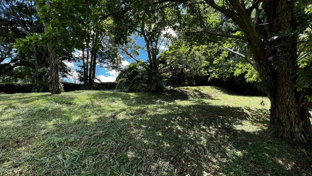 Terreno - Foto 3