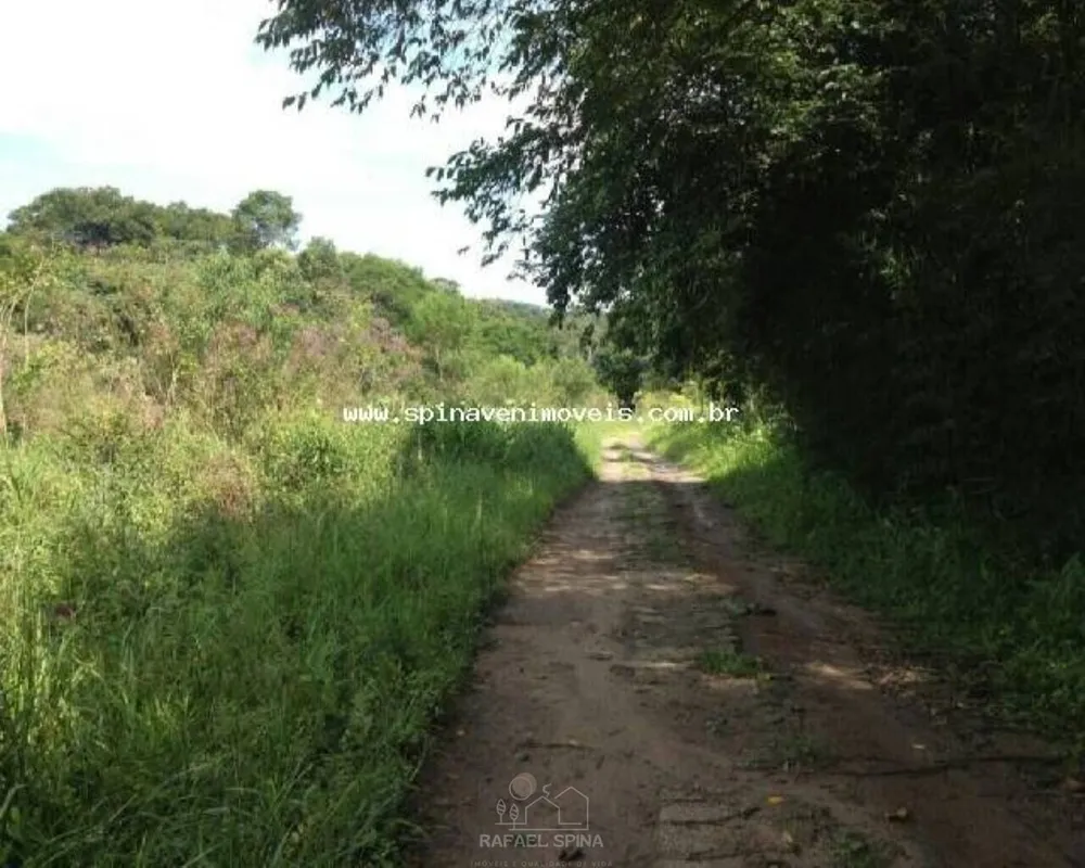 Depósito-Galpão - Foto 3