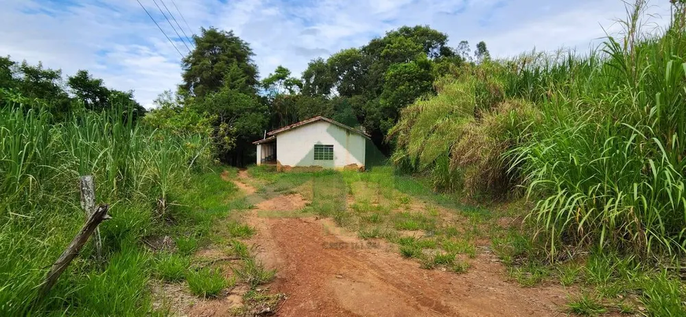 Sítio, 2 quartos, 12 hectares - Foto 9