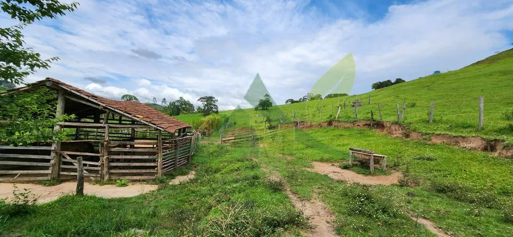 Sítio, 2 quartos, 12 hectares - Foto 11