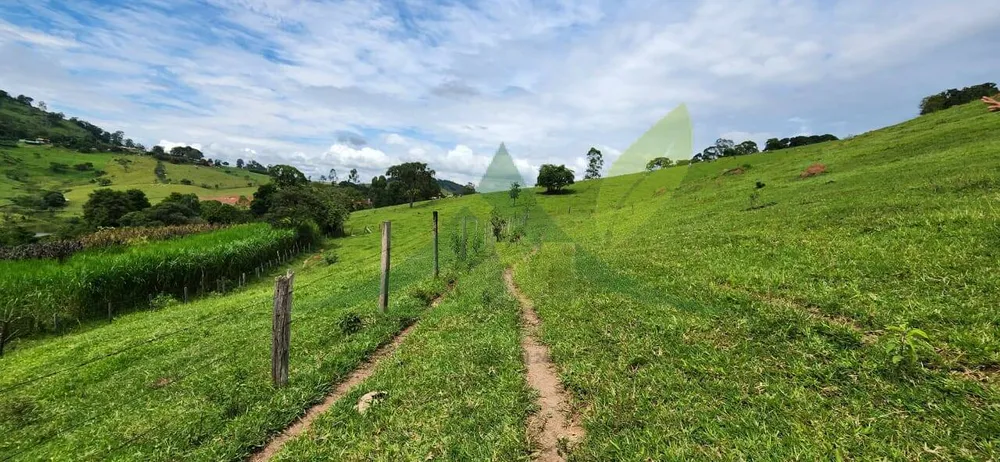 Sítio, 2 quartos, 12 hectares - Foto 4