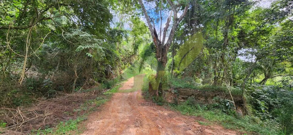 Sítio, 2 quartos, 12 hectares - Foto 12