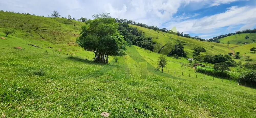 Sítio, 2 quartos, 12 hectares - Foto 1