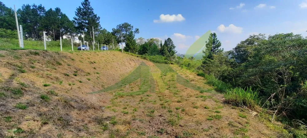 Terreno, 3203 m² - Foto 1