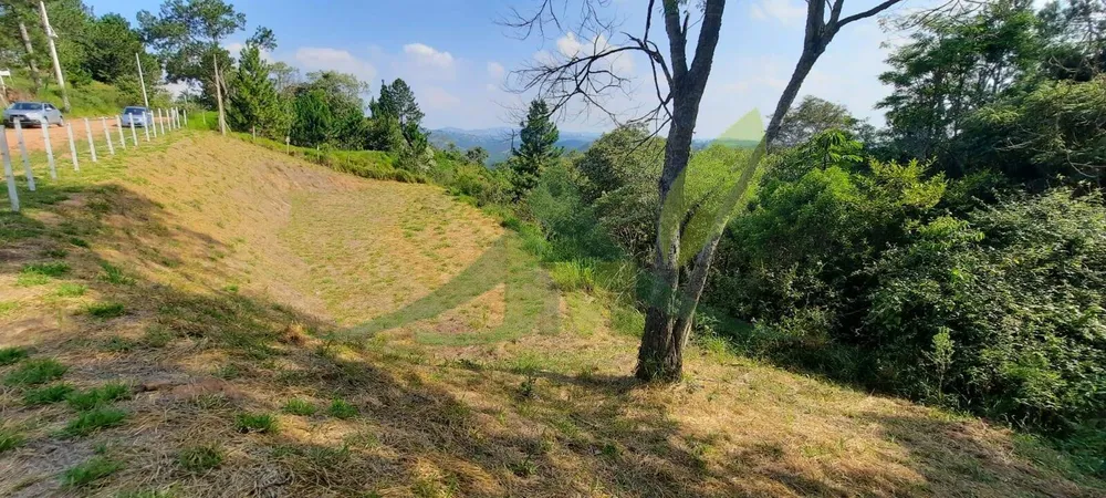 Terreno, 3203 m² - Foto 4