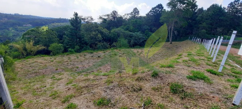 Terreno, 3203 m² - Foto 2
