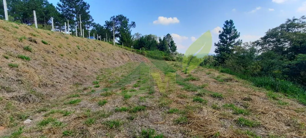 Terreno, 3203 m² - Foto 6
