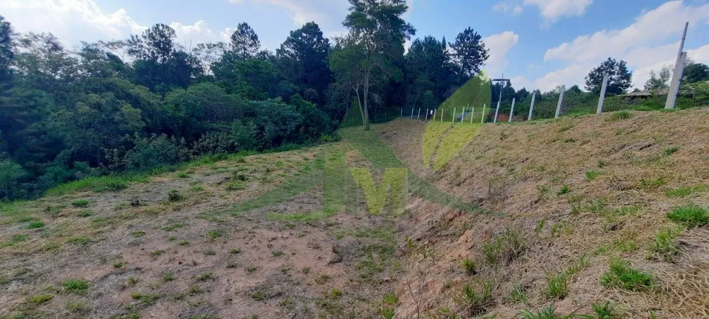 Terreno, 3203 m² - Foto 7