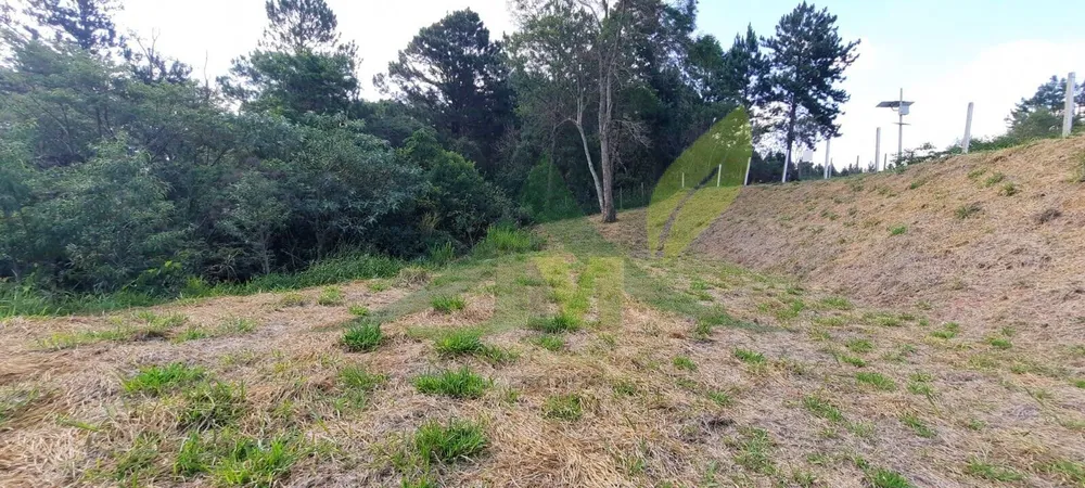 Terreno, 3203 m² - Foto 3