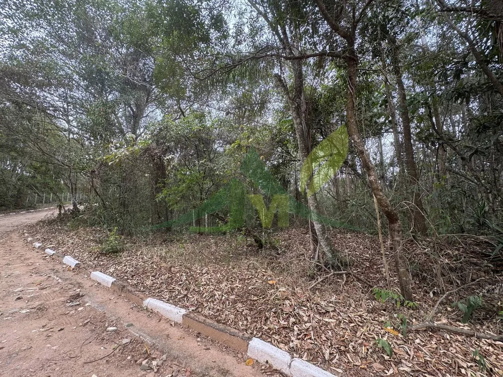 Terreno, 3800 m² - Foto 5