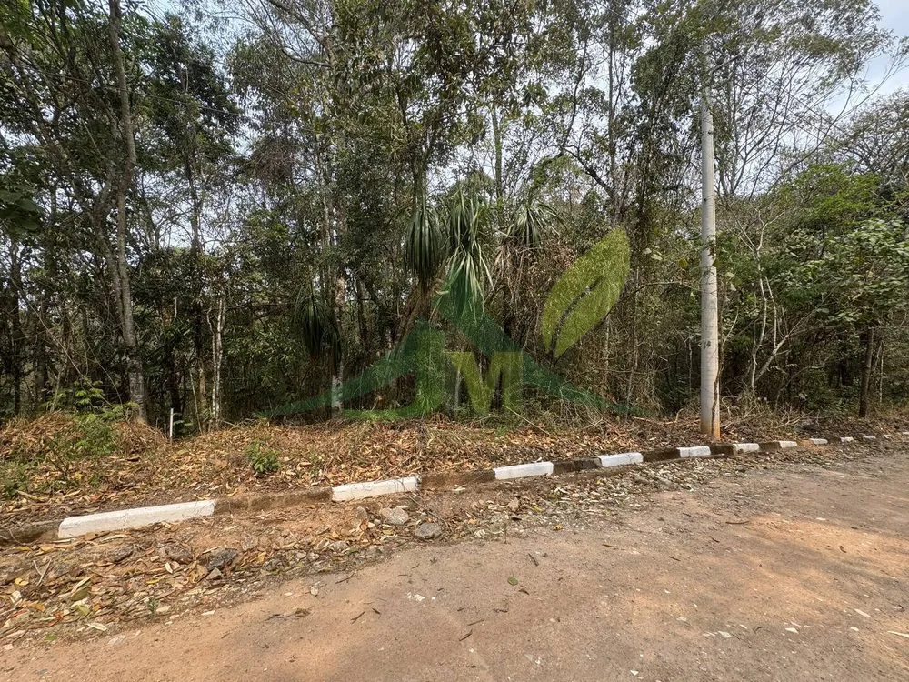 Terreno, 3800 m² - Foto 8