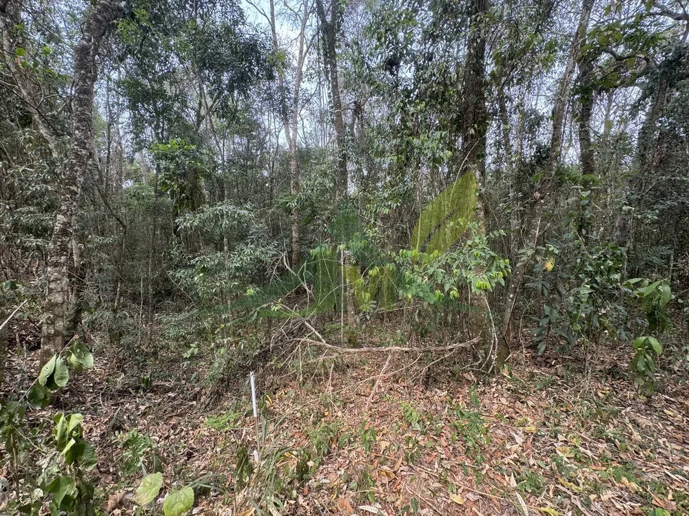Terreno, 3800 m² - Foto 1