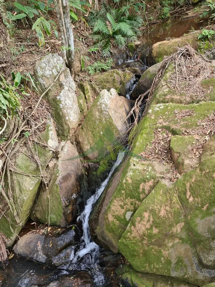 Sítio, 2 quartos, 75 hectares - Foto 15