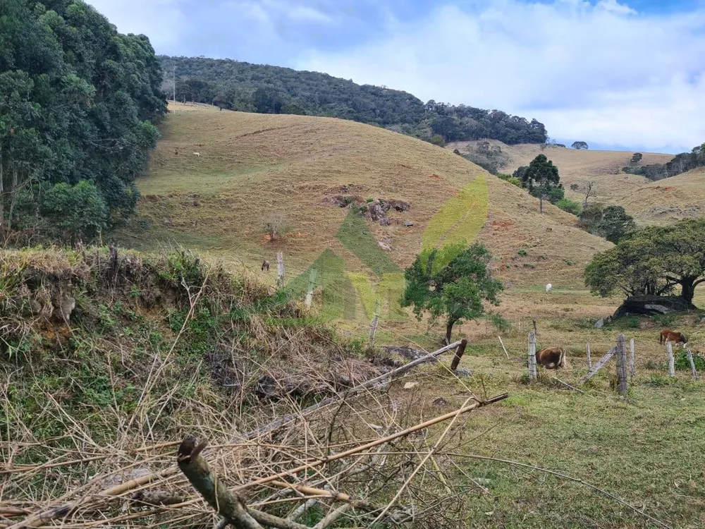 Sítio, 2 quartos, 75 hectares - Foto 1