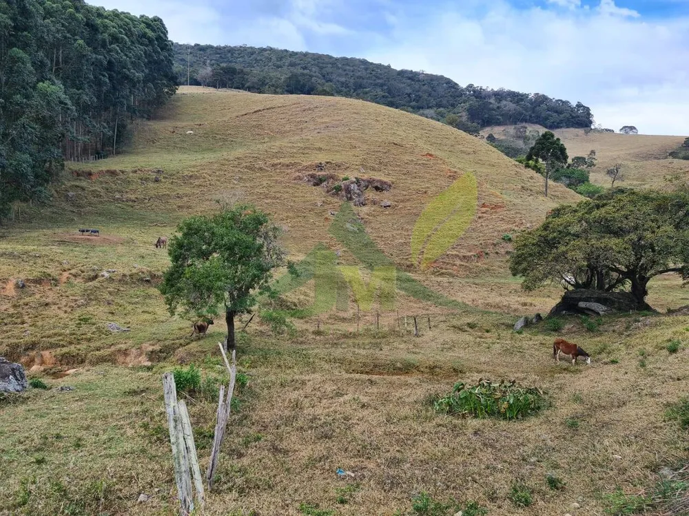 Sítio, 2 quartos, 75 hectares - Foto 16