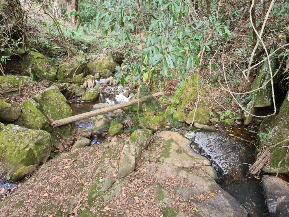 Sítio, 2 quartos, 75 hectares - Foto 13