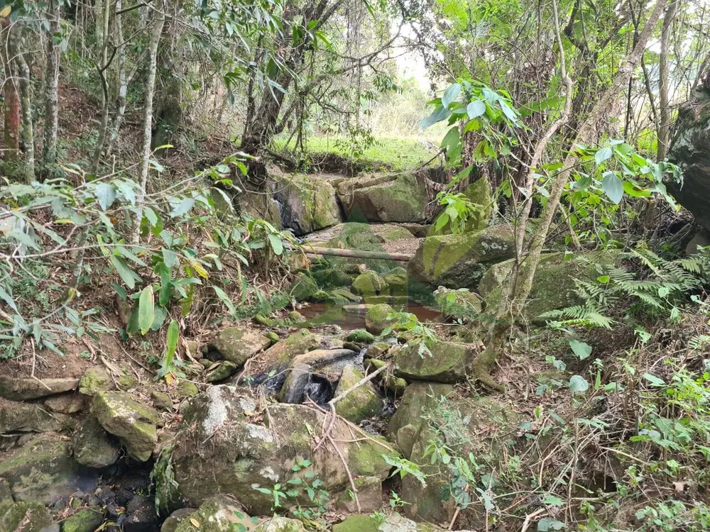 Sítio, 2 quartos, 75 hectares - Foto 6