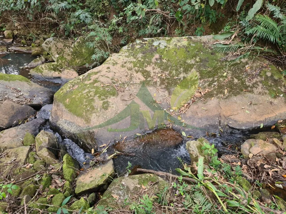 Sítio, 2 quartos, 75 hectares - Foto 8