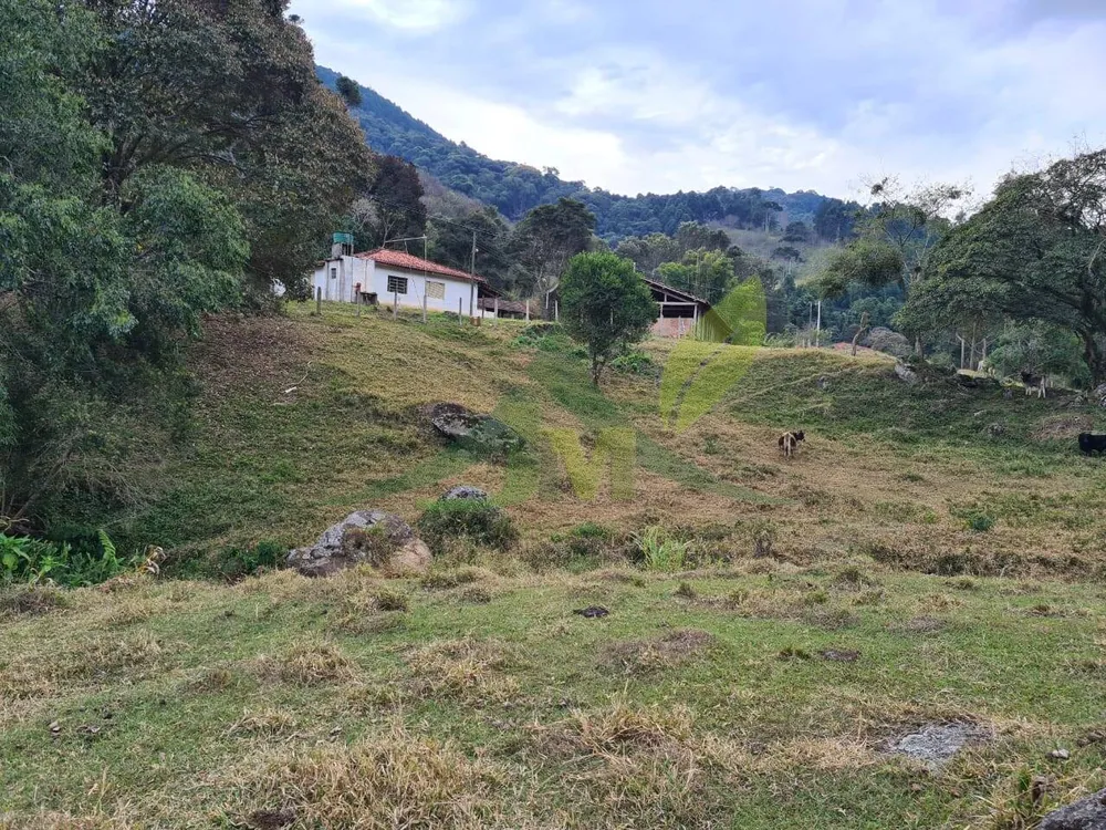Sítio, 2 quartos, 75 hectares - Foto 3