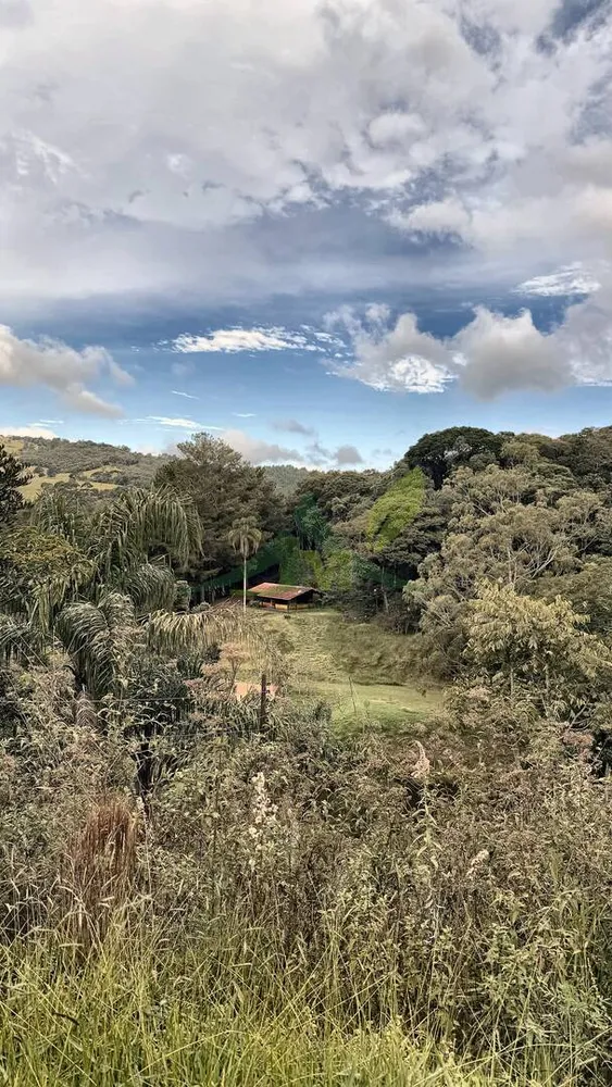 Sítio, 2 quartos, 24 hectares - Foto 3